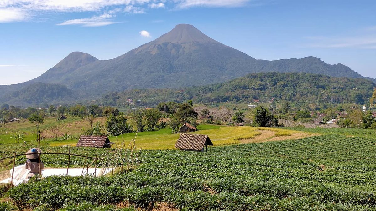 Gunung di Mojokerto